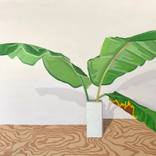 Banana leaves in a vase by Matt McLellan