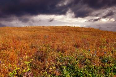 Original Expressionism Landscape Photography by Marija Orlovic