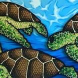 Honu by Matthew Adamczyk