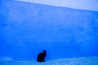 Black Cat Blue Wall | Morocco thumb