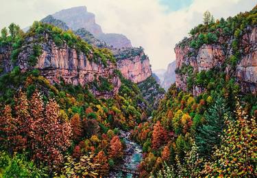 Original Realism Nature Paintings by Josep M Sola