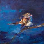Collection BIRDS