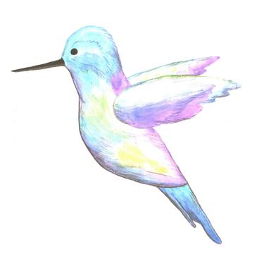 A cute Hummingbird with iridescent feathers thumb