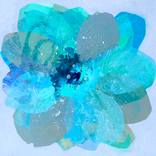 Ice Rose by Jessica Ruth Freedman
