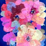 Wild Flowers by Jessica Ruth Freedman