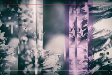 Original Photorealism Floral Photography by Irina Wolfe