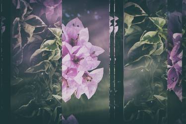 Print of Art Deco Floral Photography by Irina Wolfe