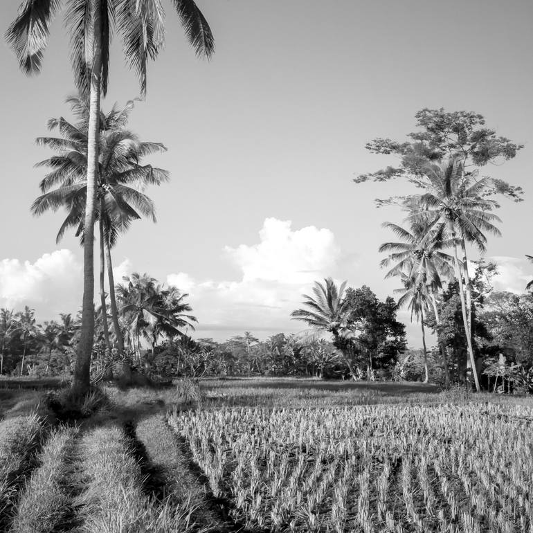 Original Other Landscape Photography by Irina Wolfe