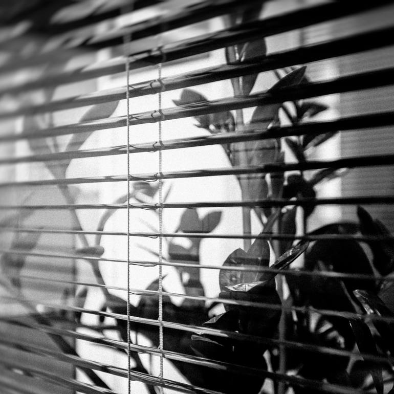 Original Photorealism Geometric Photography by Irina Wolfe