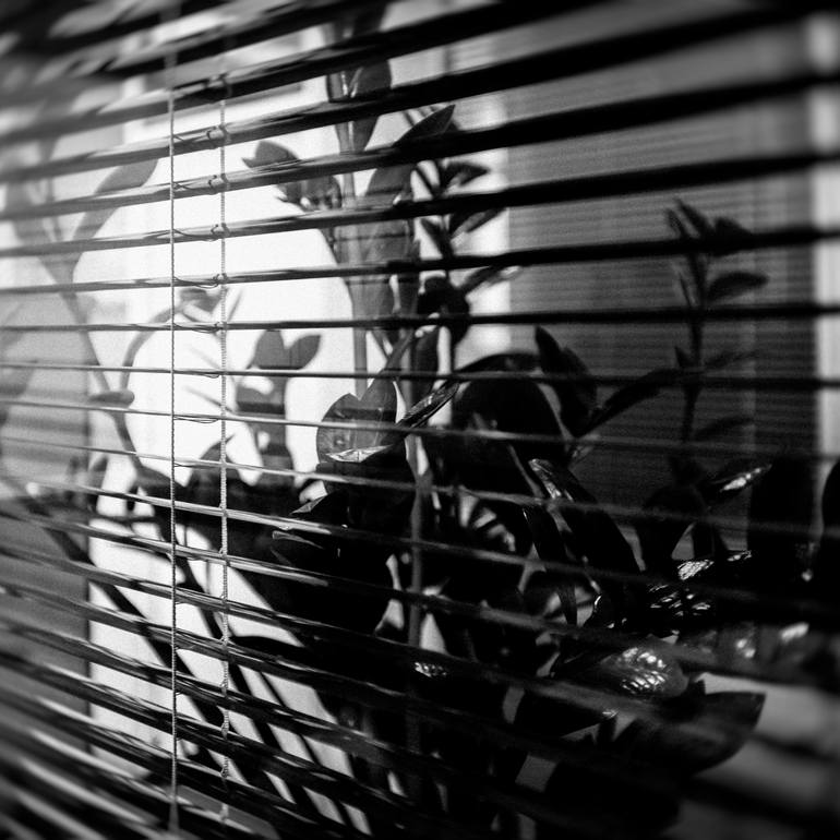 Original Photorealism Geometric Photography by Irina Wolfe
