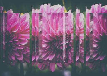 Print of Abstract Floral Photography by Irina Wolfe