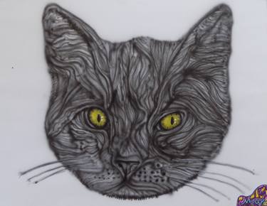Original Cats Drawings by leveque maxime
