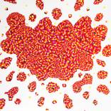 Collection Inspired by Jackson Pollock