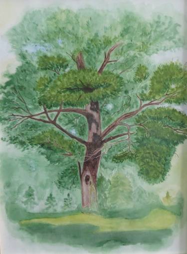 Print of Tree Paintings by Tetyana Shcherba