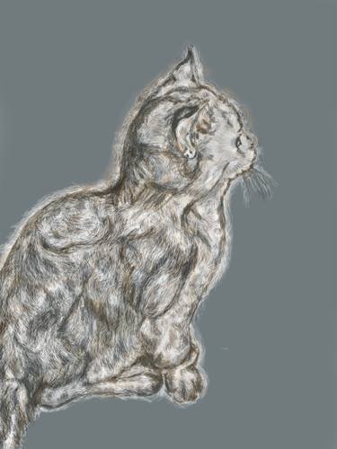 drawing of a cat thumb