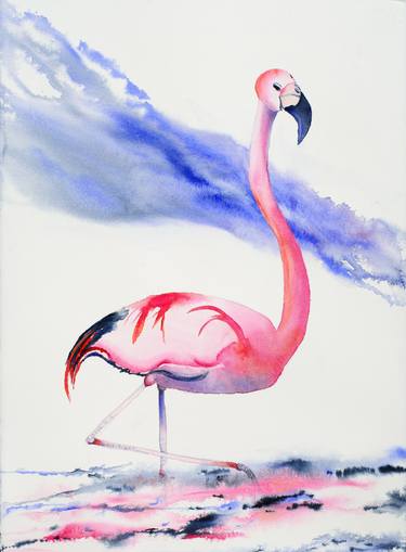 Andean Flamingo thumb