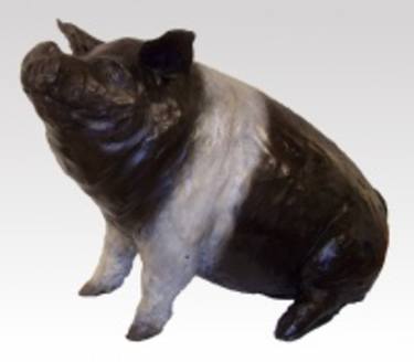Original Animal Sculpture by kirsten Kainz