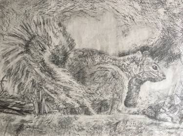Print of Animal Drawings by Anne Park