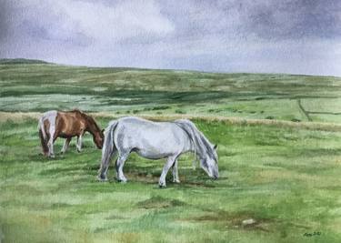 Dartmoor Ponies thumb