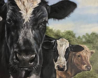 Original Figurative Cows Paintings by Anne Park