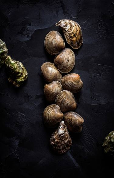 Print of Documentary Still Life Photography by Stephanie Salvatore