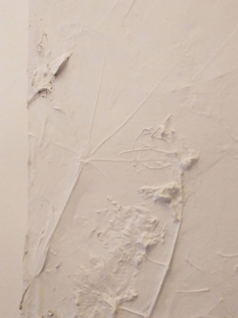 Original Abstract Nature Painting by Andy White