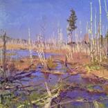 The bog. Spring by Martin Echtenberg