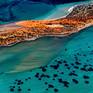 Collection Shark Bay Aerial Photographs