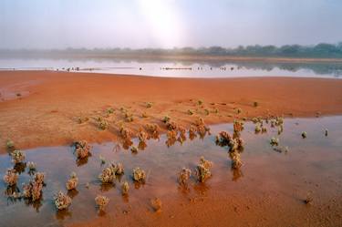Misty Salt Pan, Cue - Limited Edition of 50 - thumb