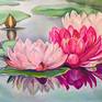 Collection Lotuses and lilies