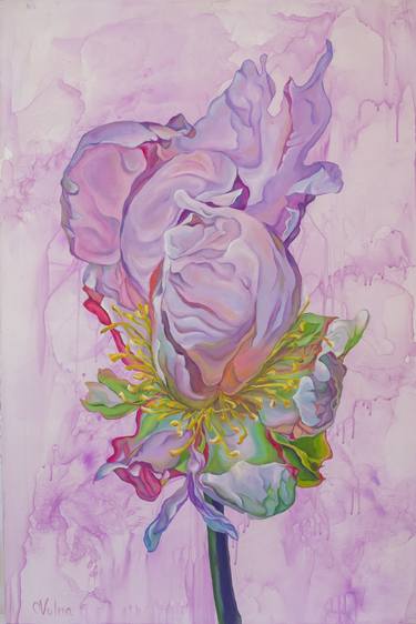 Original Floral Paintings by Olga Volna