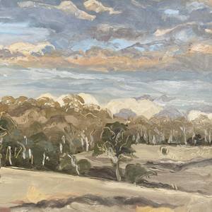 Collection The Other Art Fair Sydney September 2020