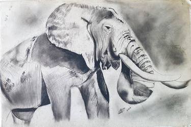 Print of Animal Drawings by Akram Muhammad