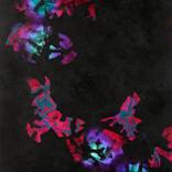 Symmetry Break by Heidi Hodkinson