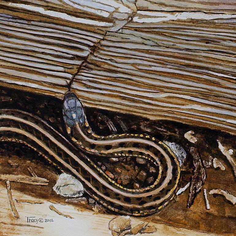 Original Other Animal Painting by Robert Tracy