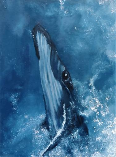 Blue Whale thumb