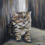 Spooky Kitty by Luna Smith