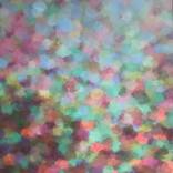BUTTERFLIES by Olivia Garza