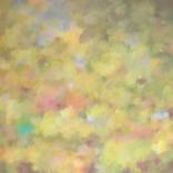 Yellow (Amarillo, Amar y yo) by Olivia Garza
