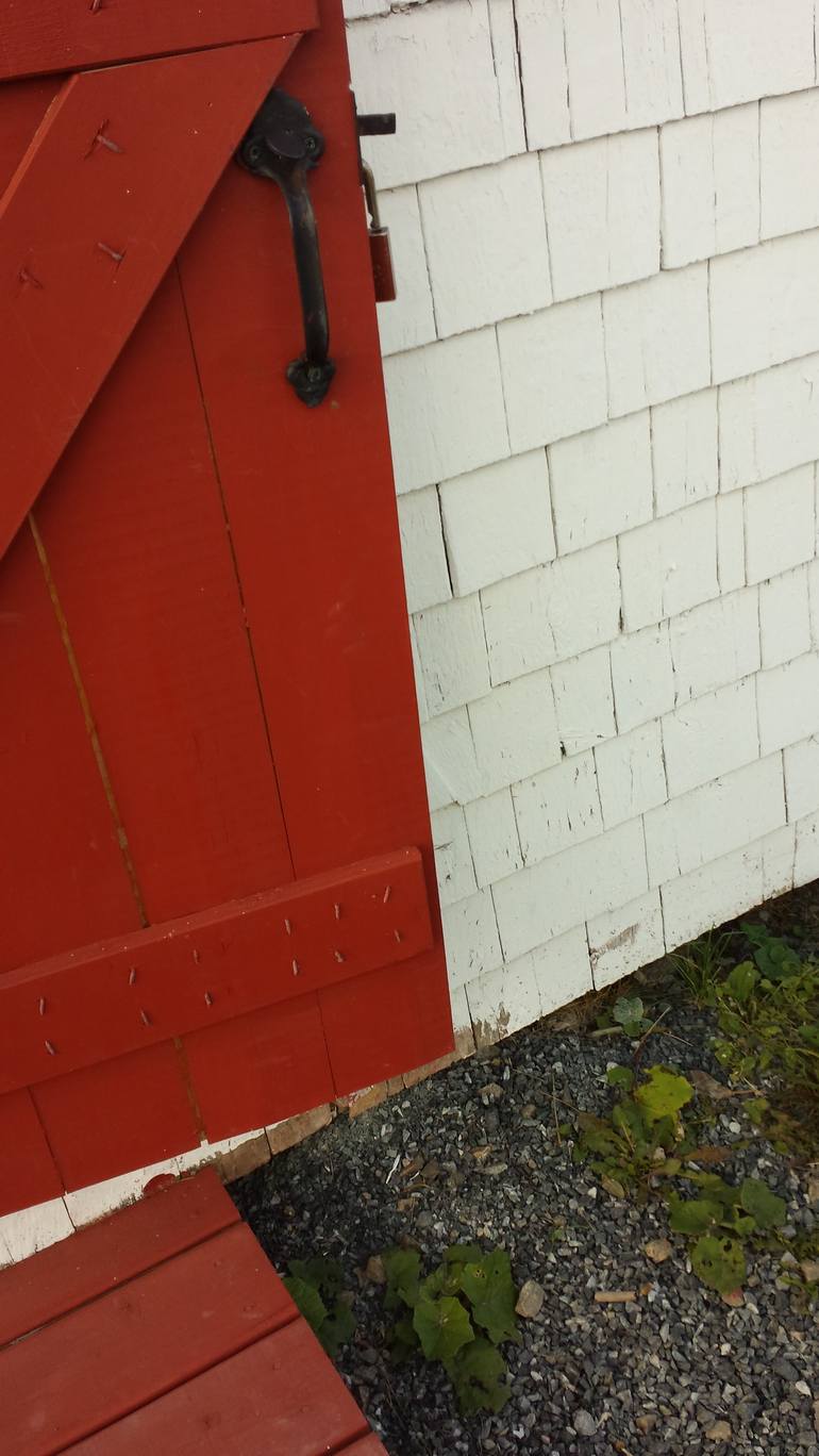 Red Storm Door