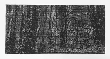 Print of Fine Art Landscape Printmaking by Stefan Osnowski