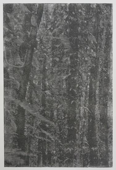 Print of Abstract Nature Printmaking by Stefan Osnowski