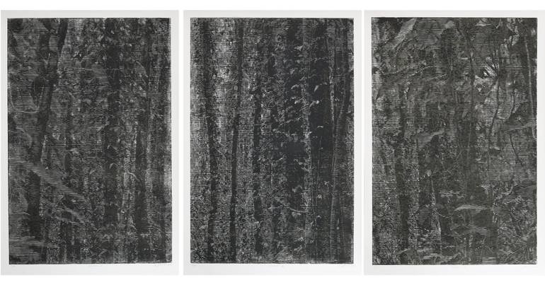 Original Abstract Nature Printmaking by Stefan Osnowski