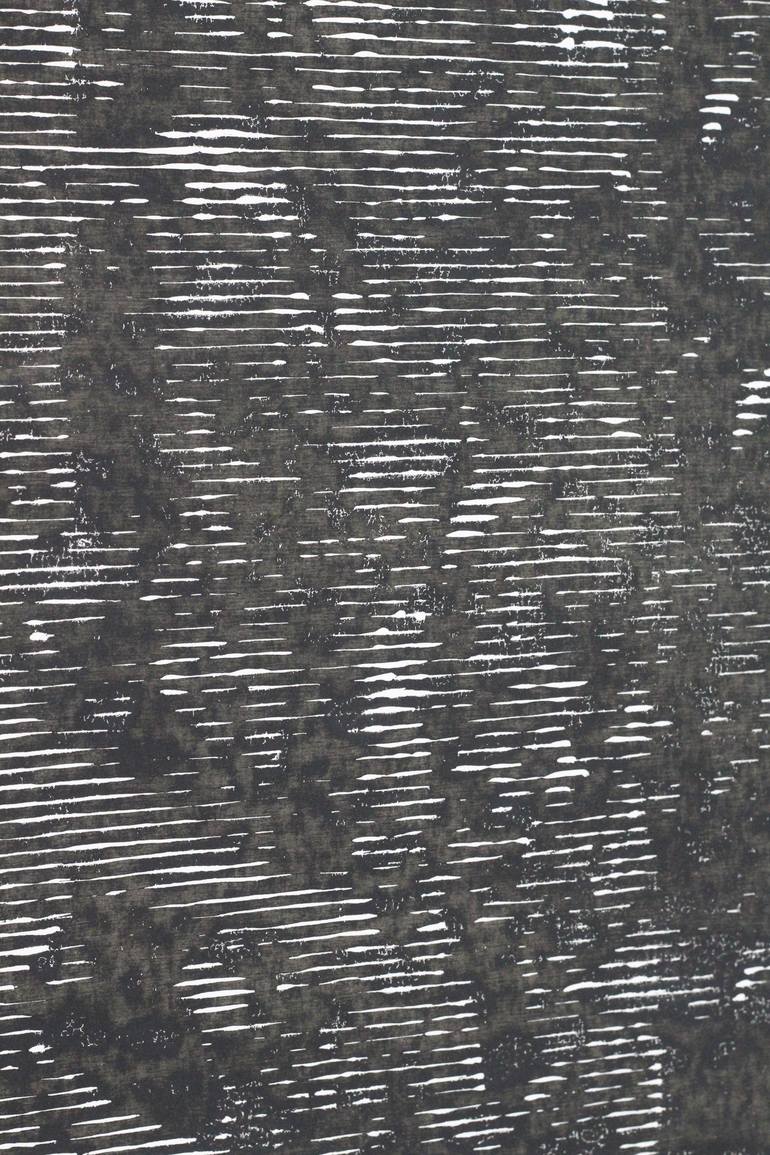 Original Abstract Nature Printmaking by Stefan Osnowski