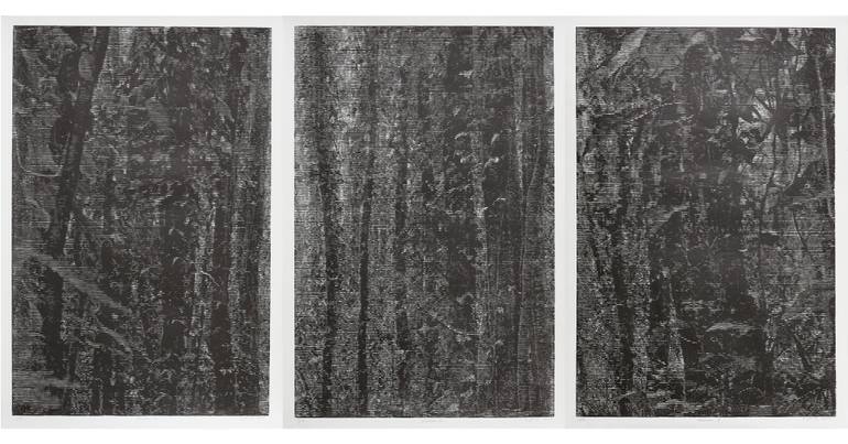 Original Abstract Nature Printmaking by Stefan Osnowski