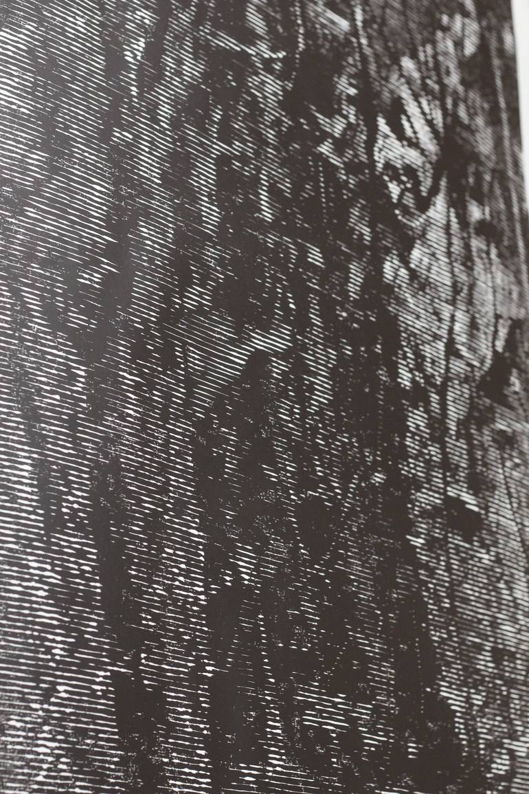 Original Abstract Nature Printmaking by Stefan Osnowski