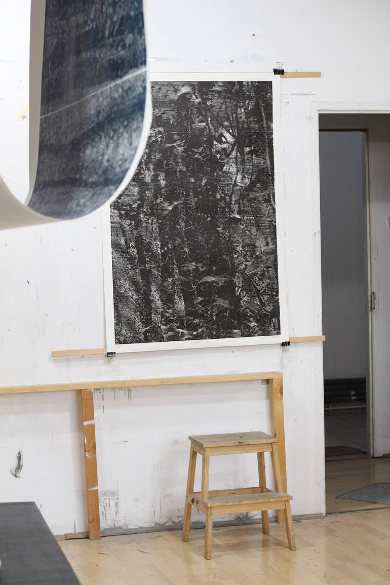 Original Abstract Nature Printmaking by Stefan Osnowski