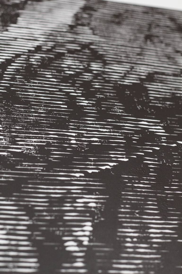 Original Abstract Nature Printmaking by Stefan Osnowski