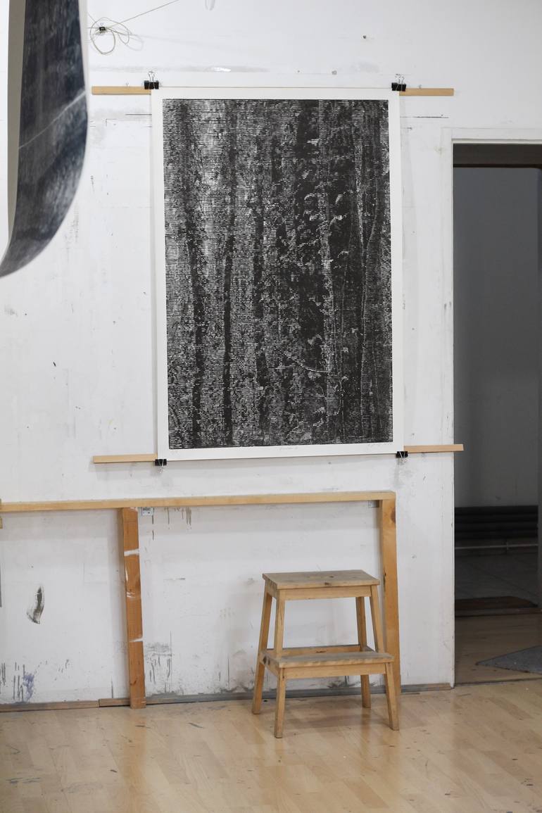 Original Abstract Nature Printmaking by Stefan Osnowski