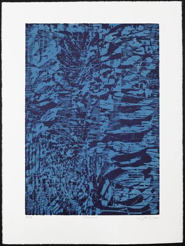 Print of Expressionism Abstract Printmaking by Stefan Osnowski